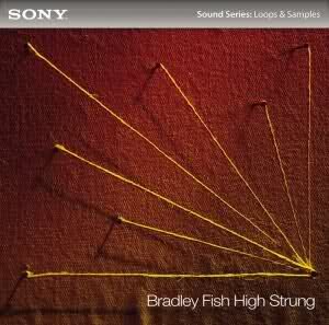 Sony MediaSoftware Bradley Fish Restrung ACID WAV-DYNAMiCS screenshot Sony MediaSoftware Bradley Fish Restrung ACID WAV-DYNAMiCS screenshot