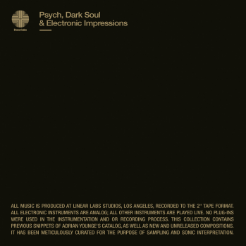 Adrian Younge Psych Dark Soul And Electronic Impressions WAV-DISCOVER screenshot Adrian Younge Psych Dark Soul And Electronic Impressions WAV-DISCOVER screenshot