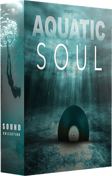 Organic Wave Aquatic Soul Sound Collection Volume 1 WAV-DISCOVER screenshot Organic Wave Aquatic Soul Sound Collection Volume 1 WAV-DISCOVER screenshot
