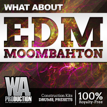 WA Production What About EDM Moombahton ACID WAV MiDi LD SYLENTH1 Ni MASSiVE XFER SERUM RS SPiRE-DISCOVER screenshot WA Production What About EDM Moombahton ACID WAV MiDi LD SYLENTH1 Ni MASSiVE XFER SERUM RS SPiRE-DISCOVER screenshot