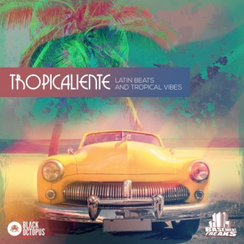 Black Octopus Sound Tropicaliente WAV MiDi-DISCOVER screenshot Black Octopus Sound Tropicaliente WAV MiDi-DISCOVER screenshot