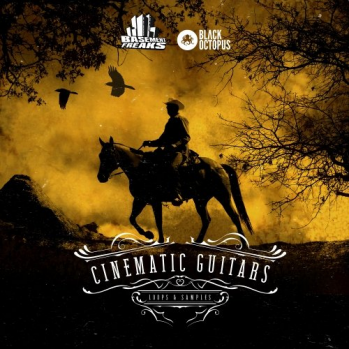 Black Octopus Sound Cinematic Guitars WAV-DISCOVER screenshot Black Octopus Sound Cinematic Guitars WAV-DISCOVER screenshot