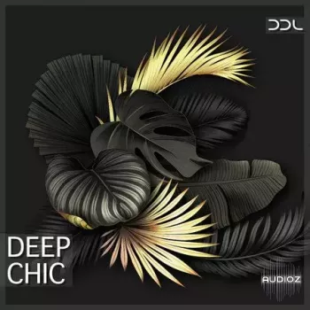 Deep Data Loops Deep Chic WAV MiDi-FANTASTiC screenshot