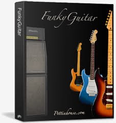 Pettinhouse FunkyGuitar (KONTAKT) screenshot