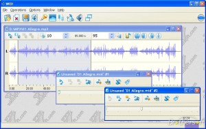 Widi Recognition v4.03 Professional screenshot