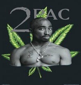 2Pacapellas Vol 2 screenshot