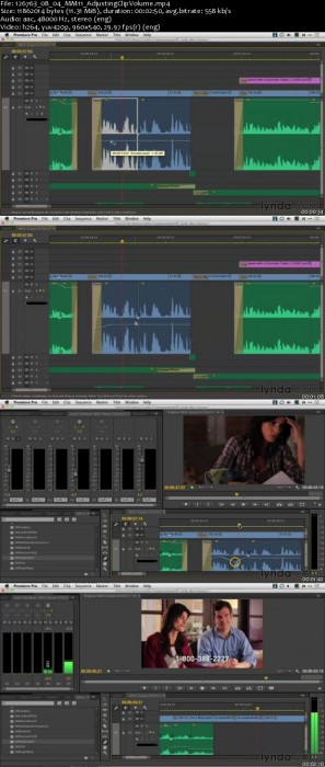 Premiere Pro Technology Preview TUTORiAL screenshot