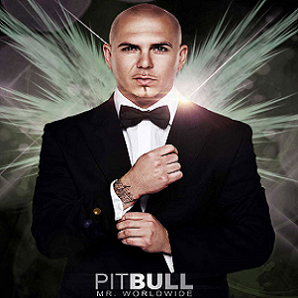 Pitbull Acapellas Vol 1 screenshot