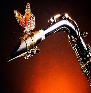 VA Smooth Jazz Saxophone Instrumental Sex Songs Vol 2 screenshot