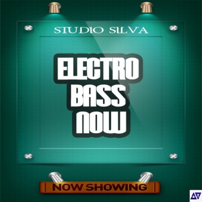 Studio Silva Electro Bass Now WAV MiDi-MAGNETRiXX screenshot