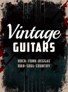 Xtended Series Vintage Guitars MULTiFORMAT-MAGNETRiXX screenshot
