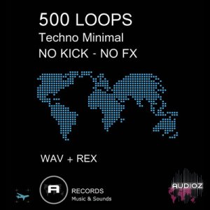 ACID Records 500 Loops Techno Minimal MULTiFORMAT SCD-SONiTUS screenshot