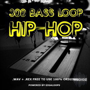 GigaLoops 300 Hip Hop Bass Loops WAV REX screenshot