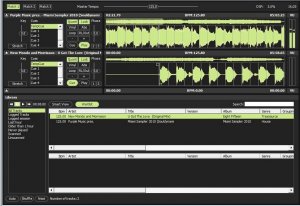 GizmoLabs RPM v1.2.2-UNION screenshot