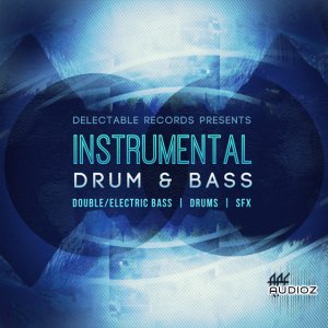 Delectable Records Instrumental Drum and Bass WAV screenshot Delectable Records Instrumental Drum and Bass WAV screenshot