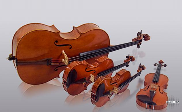 Download Vienna Chamber String Quartet Cello (Kontakt 5 3 1