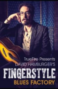 Truefire - David Hamburger's Fingerstyle Blues Factory (2014) screenshot