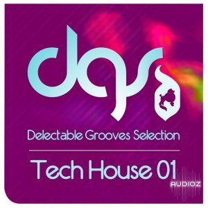 Loopmasters Delectable Records Tech House 01 MULTiFORMAT DVDR-DYNAMiCS screenshot