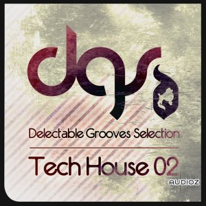 Loopmasters Delectable Records Tech House 02 MULTiFORMAT DVDR-DYNAMiCS screenshot