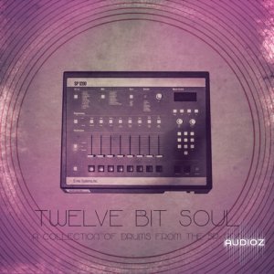 The Drum Sample Twelve Bit Soul WAV screenshot