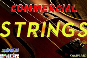 28GB Strings Sample Pack (30,000+ Samples) screenshot