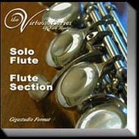 Kirk Hunter Virtuoso Series Solo Flute And Flute Section Giga-AI screenshot