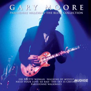 VGuitar Lessons – Gary Moore - Parisienne Walkways (by Ben Lowrey) screenshot