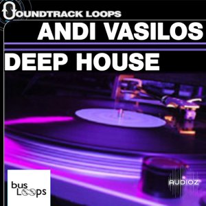 Soundtrack Loops Andi Vasilos Deep House Tools ACiD WAV screenshot