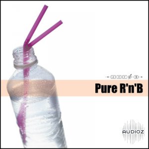 Zero-G Pure RnB DLP WAV ACID REX-ASSiGN screenshot