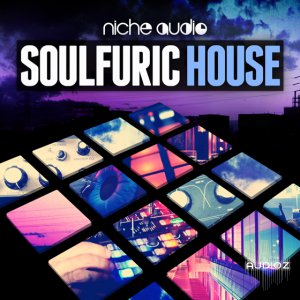Niche Audio Soulfuric House Ableton Live-AUDIOSTRiKE screenshot
