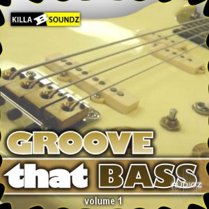 Killa B Soundz Groove That Bass WAV screenshot