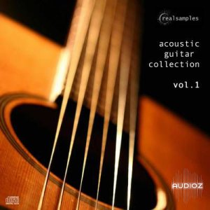 Realsamples Acoustic Guitar Collection Vol.1 MULTiFORMAT DVDR-KRock screenshot
