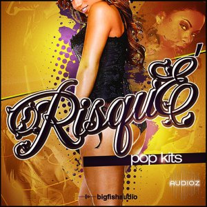 Big Fish Audio Risque Pop Kits MULTiFORMAT DVDR-DYNAMiCS screenshot