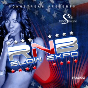Song Stream RnB Slow Expo WAV FLP screenshot