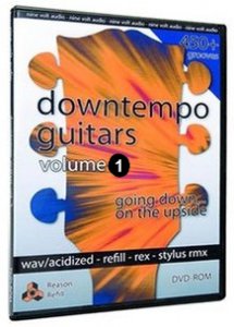 Nine Volt Audio Downtempo Guitars Vol.1 ACID WAV REX RMX2 RFL-DELIRIUM screenshot