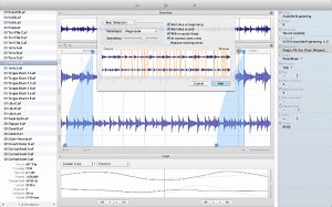 Audiofile Engineering Loop Editor v2.1.3 MacOSX-PiTcHsHiFTeR screenshot