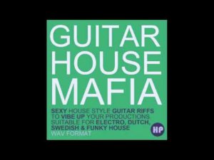 Producer Pack Guitar House Mafia WAV-KRock screenshot