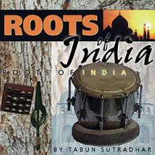 Big Fish Audio Roots of India WAV screenshot