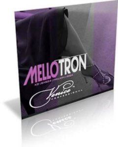 Sonart Audio Venice Deluxe Sounds Mellotron MULTIFORMAT-AudioP2P screenshot