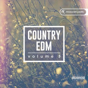 Producer Loops Country EDM Vol.3 MULTiFORMAT screenshot