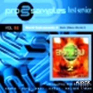 Pro Samples Vol.52 - World Instruments 2 MULTIFORMAT-CoBaLT screenshot
