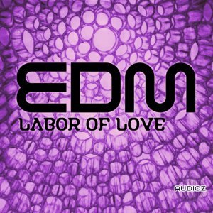 Sound Invaders EDM Labor of Love WAV-AUDIOSTRiKE screenshot