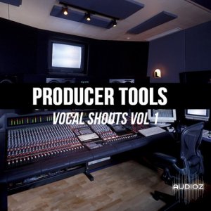 2Be Crazy Presents Producer Tools Vocal Shouts Vol.1 WAV screenshot