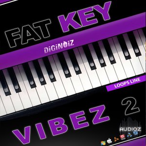Diginoiz Fat Key Vibez vol.2 MULTIFORMAT-DYNAMICS screenshot
