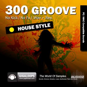 Giga Loops 300 Grooves House Style WAV REX screenshot
