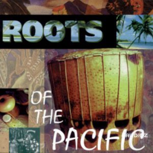 Big Fish Audio Roots of the Pacific AKAI-AudioP2P screenshot
