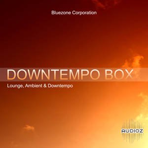 Bluezone Corporation Downtempo Box WAV REX AIFF-P2P screenshot