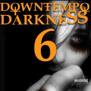 Bunker 8 Downtempo Darkness 6 ACiD WAV AiFF MiDi-MAGNETRiXX screenshot