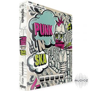Big Fish Audio Punk N' Ska KONTAKT-MAGNETRiXX screenshot