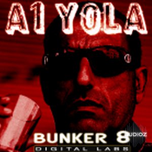 Bunker 8 Digital Labs A1 Yola vol.1 MULTiFORMAT DVDR-DYNAMiCS screenshot